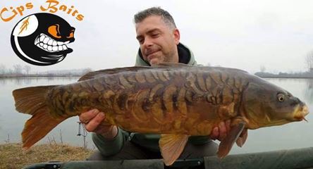 carpfishing la modul meu 2016